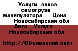 Услуги, заказ самогруза ( манипулятора). › Цена ­ 900 - Новосибирская обл. Авто » Услуги   . Новосибирская обл.